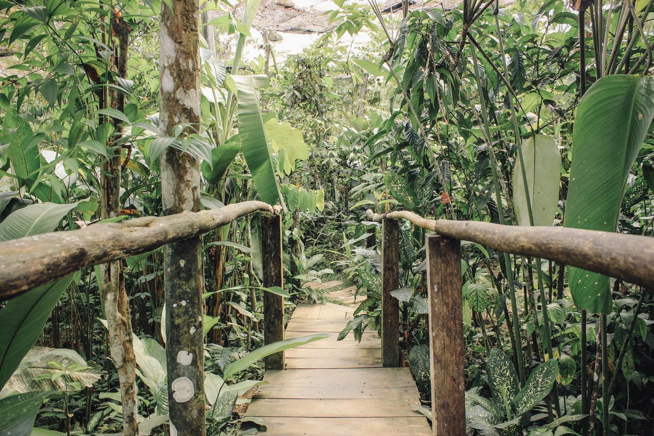 Libertad Jungle Lodge Yucuruche Εξωτερικό φωτογραφία